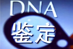 杭州司法DNA亲子鉴定如何办理，司法DNA鉴定采集哪些样本