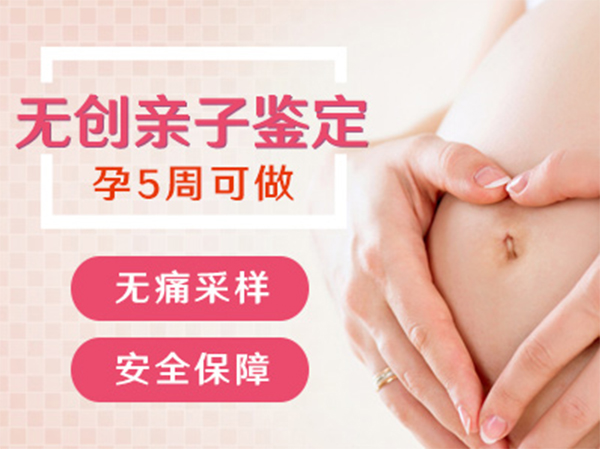 在杭州怀孕了要如何办理怀孕亲子鉴定,杭州办理怀孕亲子鉴定准确性高吗