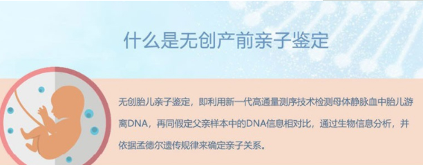 杭州怀孕如何办理DNA亲子鉴定,杭州产前亲子鉴定办理流程指南