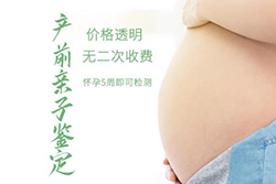 杭州怀孕6个月如何做无创胎儿亲子鉴定，杭州做无创孕期亲子鉴定大概多少费用