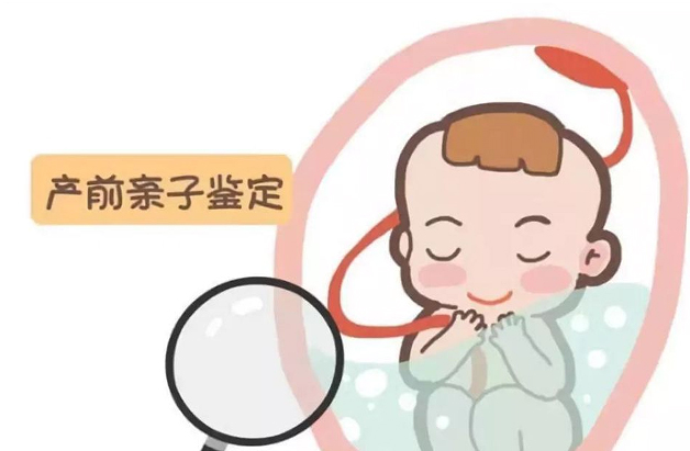 杭州怀孕了怎么做亲子鉴定,杭州产前亲子鉴定办理的流程